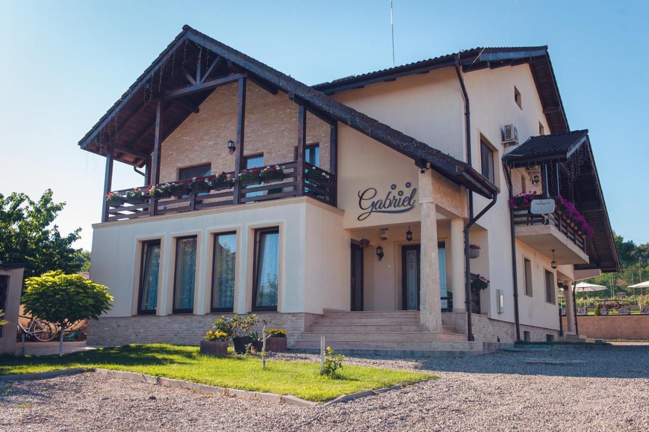 Pensiunea Gabriel Corcova Exteriör bild